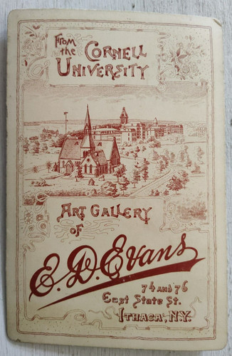 Vintage cornell university d - e,